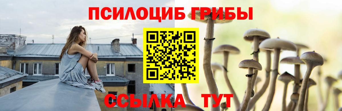 Псилоцибиновые грибы мухоморы Владивосток